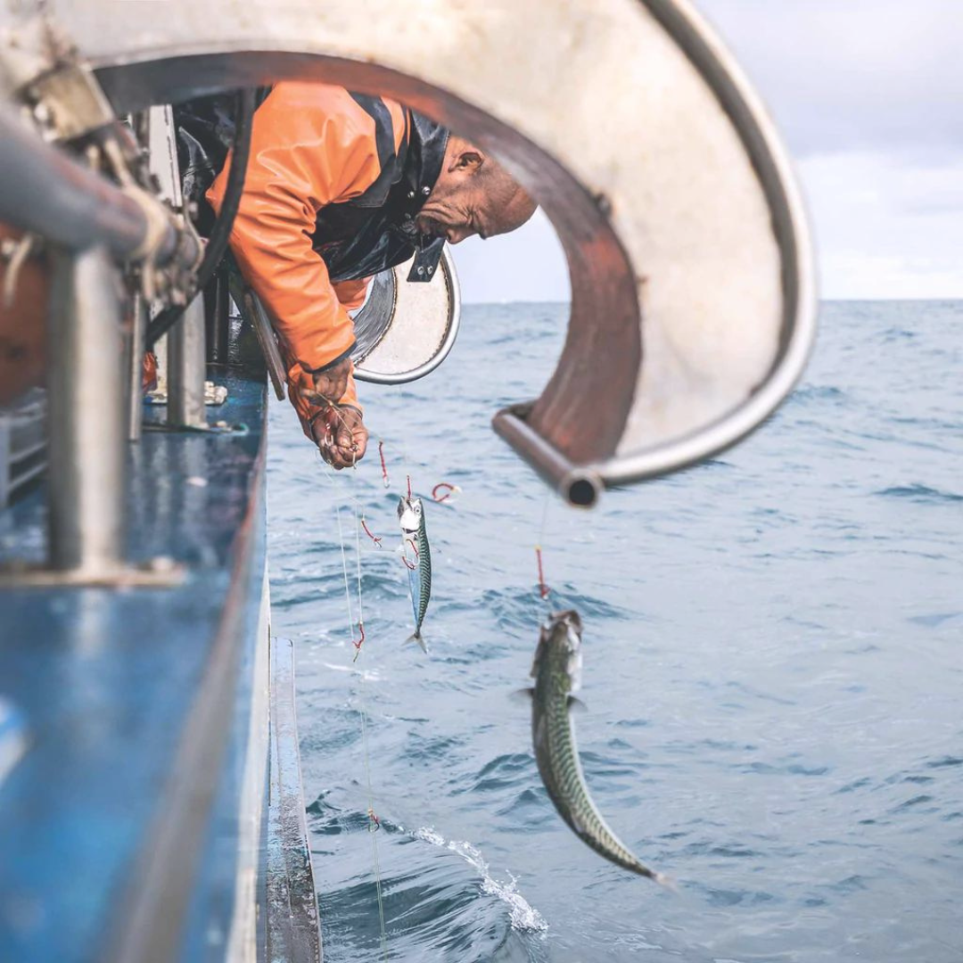 Catching Up with Patagonia Provisions