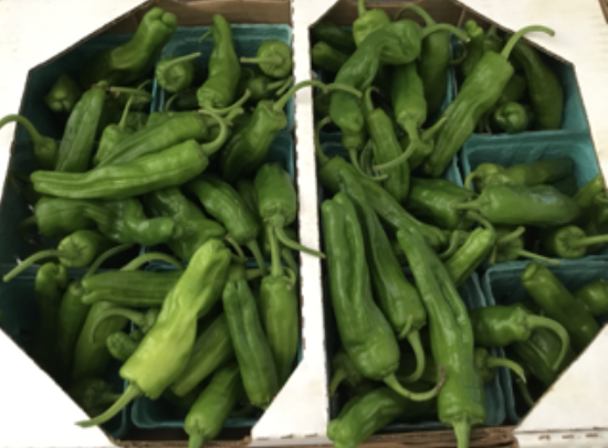 Shishito Peppers - Markristo Farms