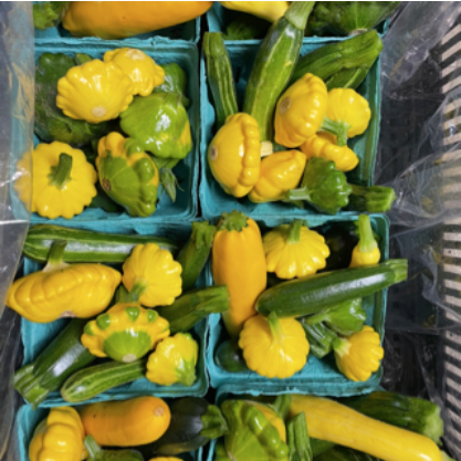 Summer Squash Babies - Deep Roots Farm